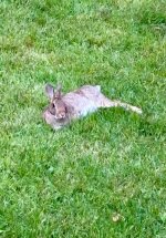 IMG_2988.jpeg IMG_2988.jpeg