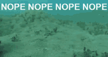 no-nope.gif