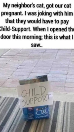 1779413009703.png