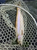 IMG_1533.jpeg IMG_1533.jpeg