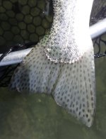 IMG_7030.jpeg IMG_7030.jpeg