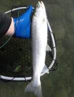 IMG_7028.jpeg IMG_7028.jpeg