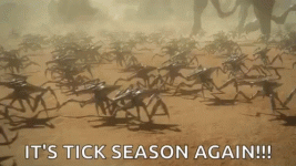 ticks-tick.gif