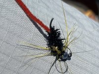 IMG_7471.jpeg IMG_7471.jpeg