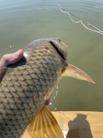 IMG_7469.jpeg IMG_7469.jpeg