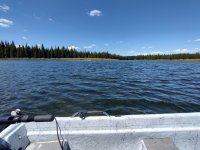 IMG_20260522_135044471_HDR.jpg