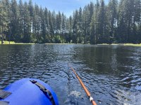 IMG_4916.jpeg