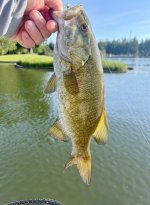 IMG_3015.jpeg