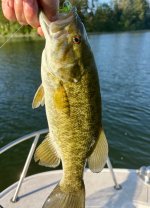 IMG_3014.jpeg