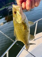 IMG_3011.jpeg