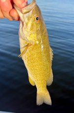 IMG_3010.jpeg