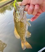IMG_3009.jpeg