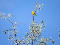 IMG_5682.JPG