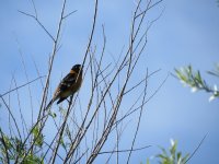 IMG_5677.JPG