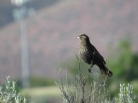IMG_5674.JPG