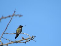 IMG_5659.JPG