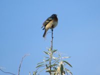 IMG_5653.JPG