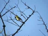 IMG_5763.JPG