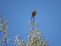 IMG_5753.JPG