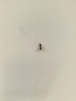 IMG_20260523_091724765.jpg