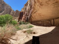 Escalante alcove.jpg