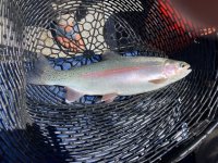 IMG_0288.jpeg