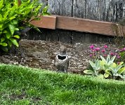 IMG_7062.jpeg