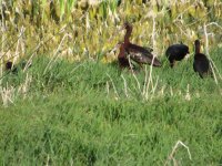 IMG_5814.JPG