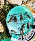20260524_flies.jpg