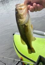 IMG_3035.jpeg