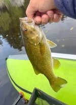 IMG_3034.jpeg