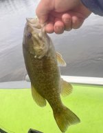 IMG_3033.jpeg