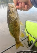 IMG_3032.jpeg