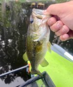 IMG_3030.jpeg