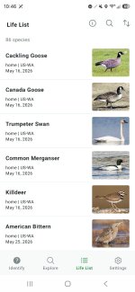 Screenshot_20260525_104630_Merlin Bird ID.jpg Screenshot_20260525_104630_Merlin Bird ID.jpg