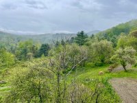 IMG_0312.jpeg