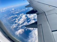 IMG_0467.jpeg