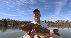 May Carp.jpg