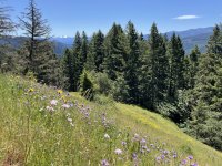 IMG_5867.jpeg