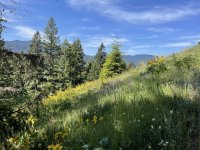 IMG_5865.jpeg