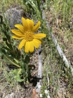 IMG_5869.jpeg