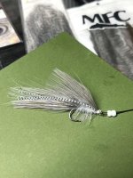 IMG_8255.jpeg