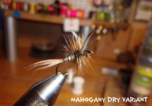 Mahogany Dry Variant.jpg