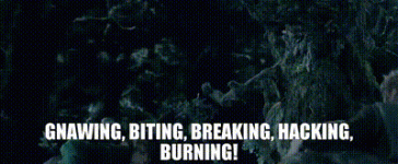1780028983538.gif 1780028983538.gif