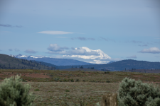A01MountRainierView2C2A2296.png
