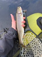 IMG_1290.jpeg IMG_1290.jpeg