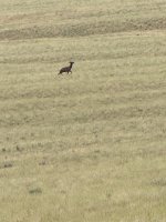 IMG_1321.jpeg IMG_1321.jpeg