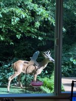 IMG_0980.jpeg