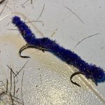 IMG_8939.jpeg