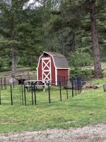 IMG-8991.JPG IMG-8991.JPG